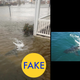 Illustration for article titled 69 Viral Images From 2016 That Were Totally Fake